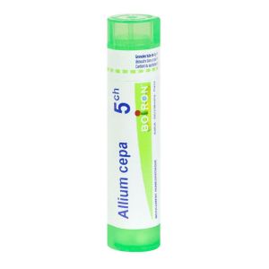 Allium cepa granule tube - 5 CH