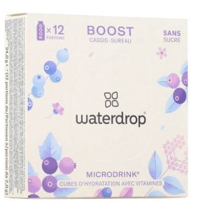 Waterdrop Microdrink Boost Bt 12