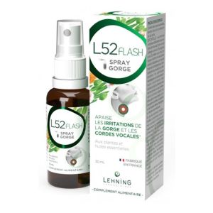 Lehning L52 Flash