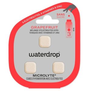 Waterdrop Microlyte Myrtille Bt3