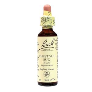 Bach® Original Chestnut Bud flowers - 20 ml