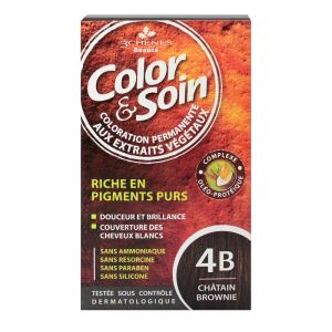 Color & Soin permanent color - 4B chestnut brownie