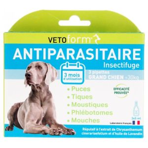 Vetoform Pip Antip Gd Chien/6