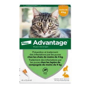 Advantage cats & rabbits -4kg 4 pipettes