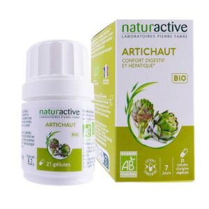 Naturactive Artichaut 21 Gel