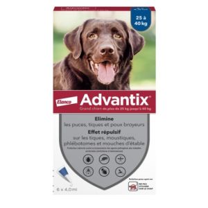 Advantix large dog 25 to 40kg - 6 pipettes