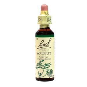 Bach® Original Walnut Flowers (Walnut) - 20 ml