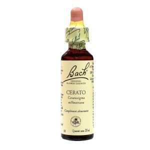 Bach® Original Cerato (Plumbago) flowers - 20 ml