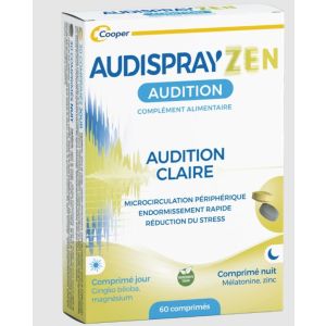 Audisprayzen J30N30