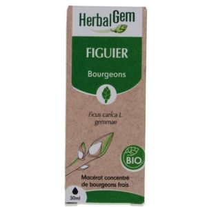 Herbalgem Macerat M Conc Figuier 30Ml