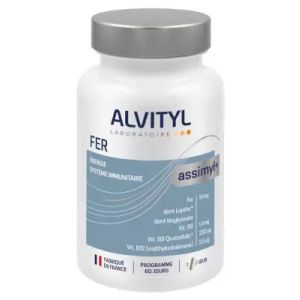 Alvityl Assimyl Fer Gelu 60