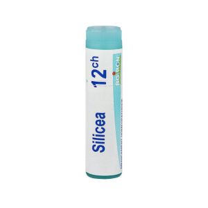 Silica dose 12 CH