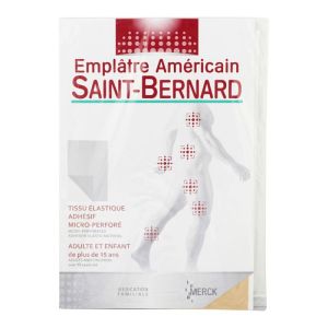 Saint-Bernard 1 American plaster