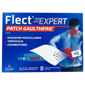 Flectaposexpert Wintergreen Patch X5