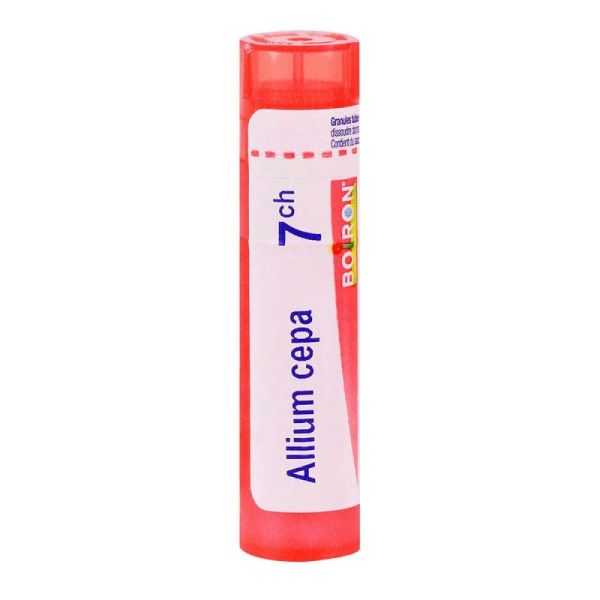 Allium cepa granule tube - 7 CH