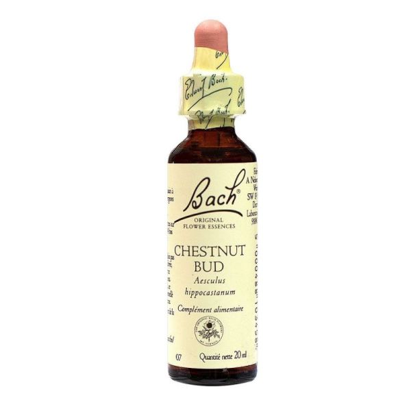 Bach® Original Chestnut Bud flowers - 20 ml