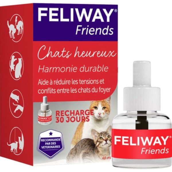 Friends Refill 48ml