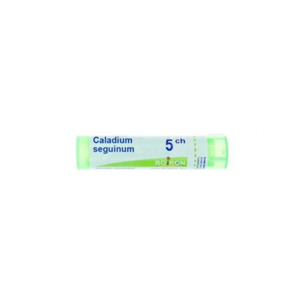 Caladium Seguinum Tube Granules 5ch